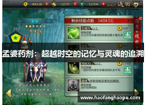 孟婆药剂：超越时空的记忆与灵魂的追溯