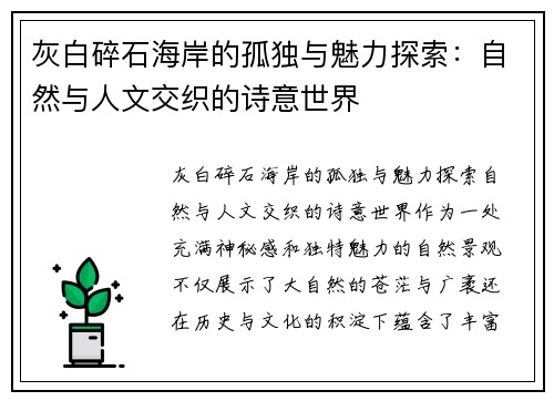 灰白碎石海岸的孤独与魅力探索：自然与人文交织的诗意世界